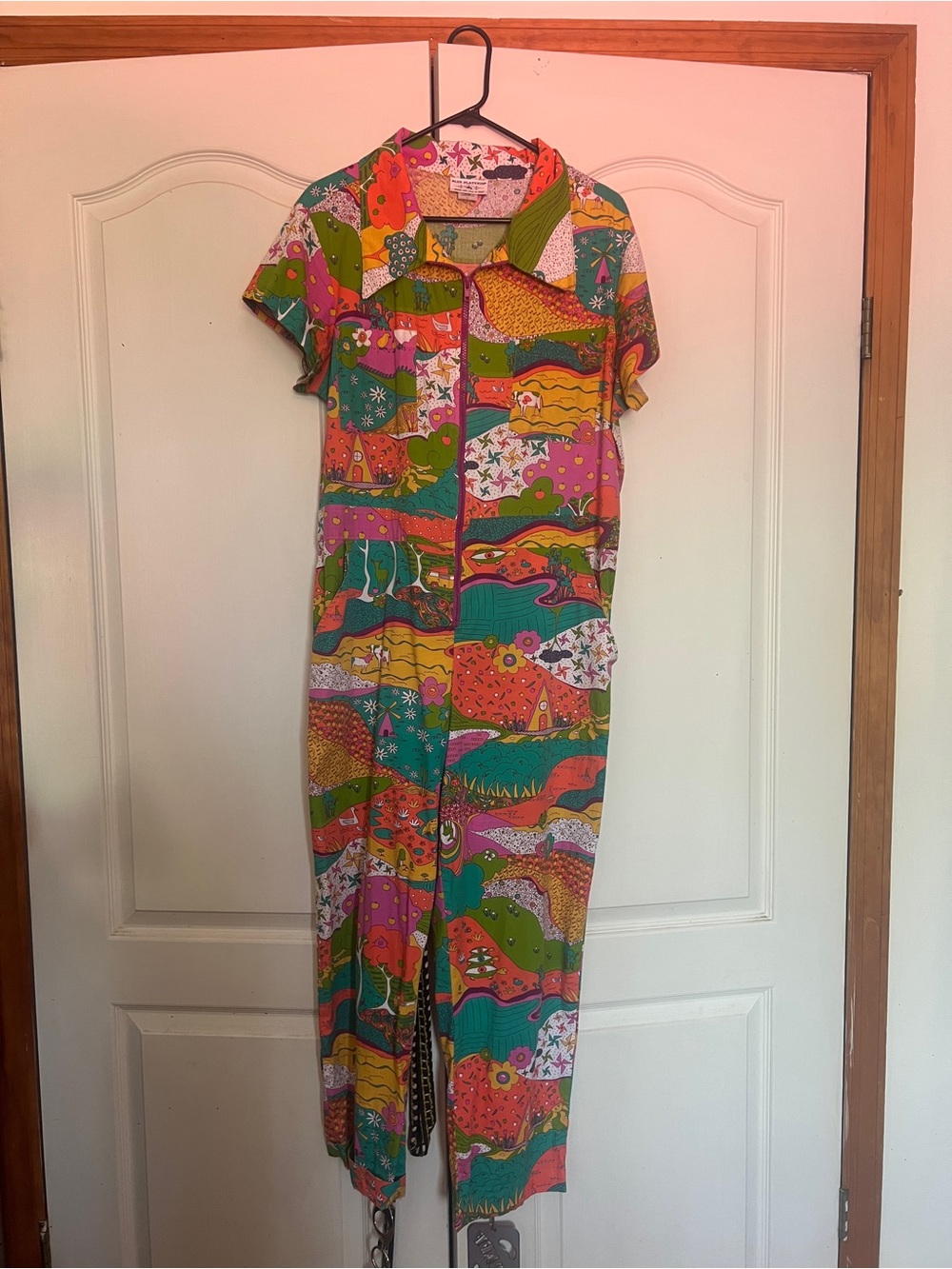 Blue Platypus psychedelic Printed Short-Sleeve Jumpsuit - Multicolor